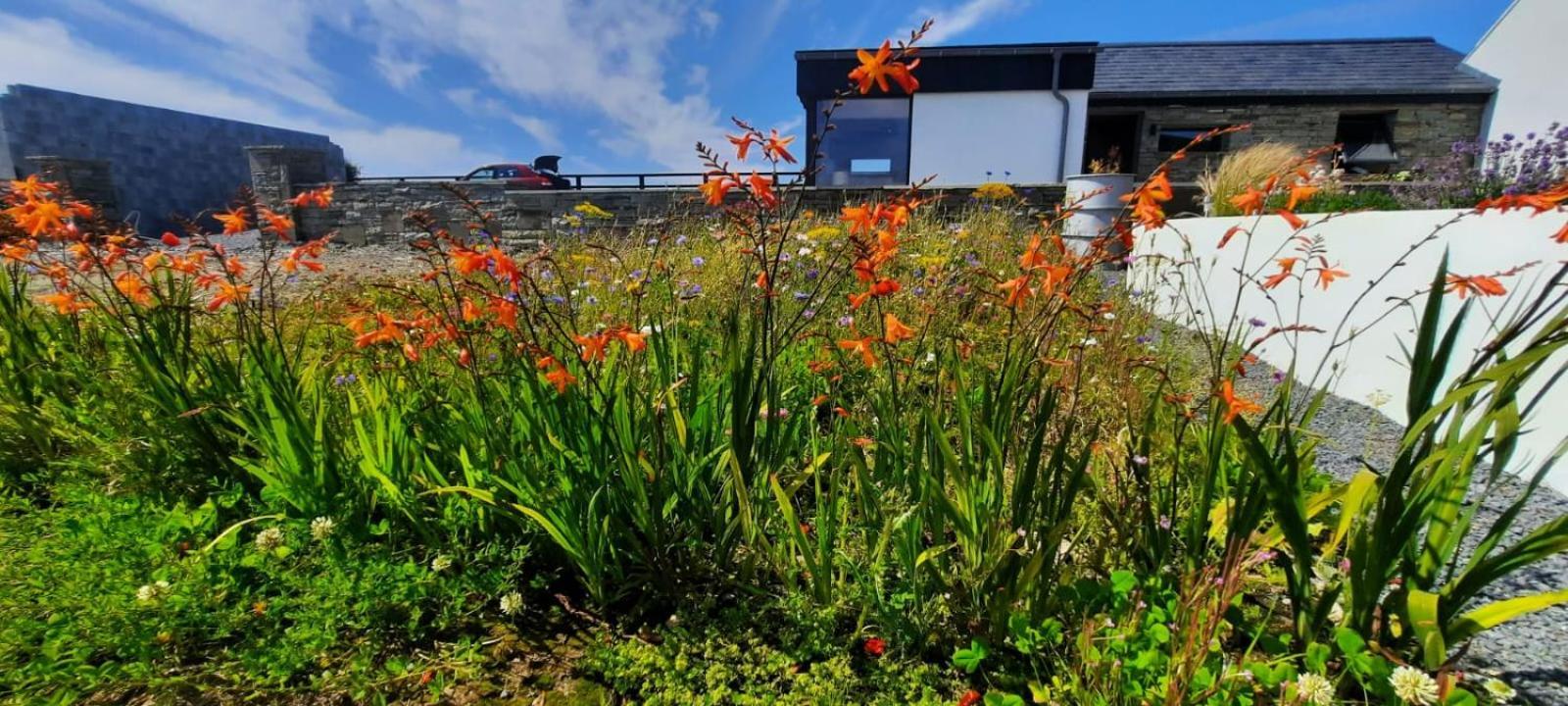 Rose Meadow Lodge Liscannor Εξωτερικό φωτογραφία